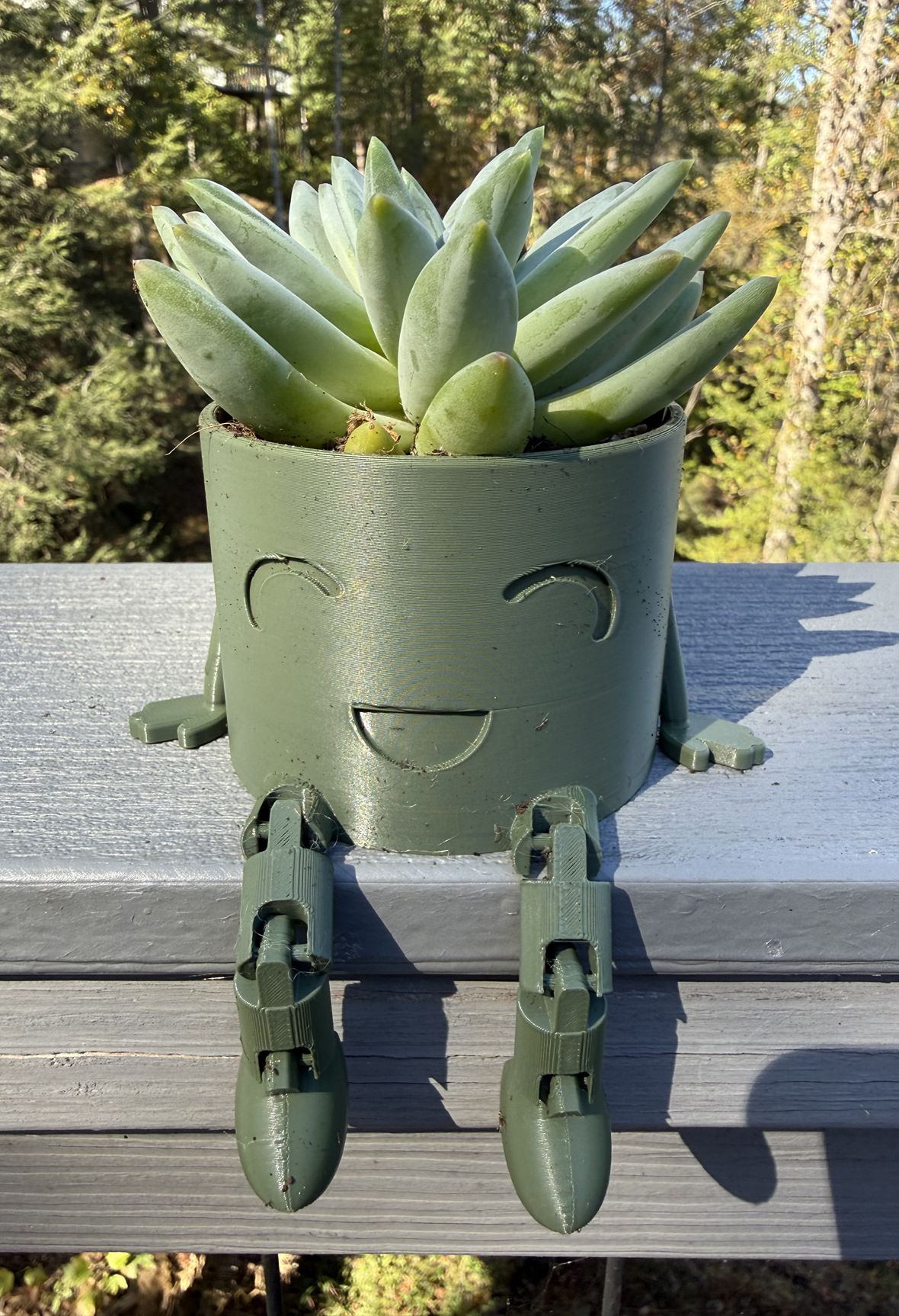 Green Planter with Plant